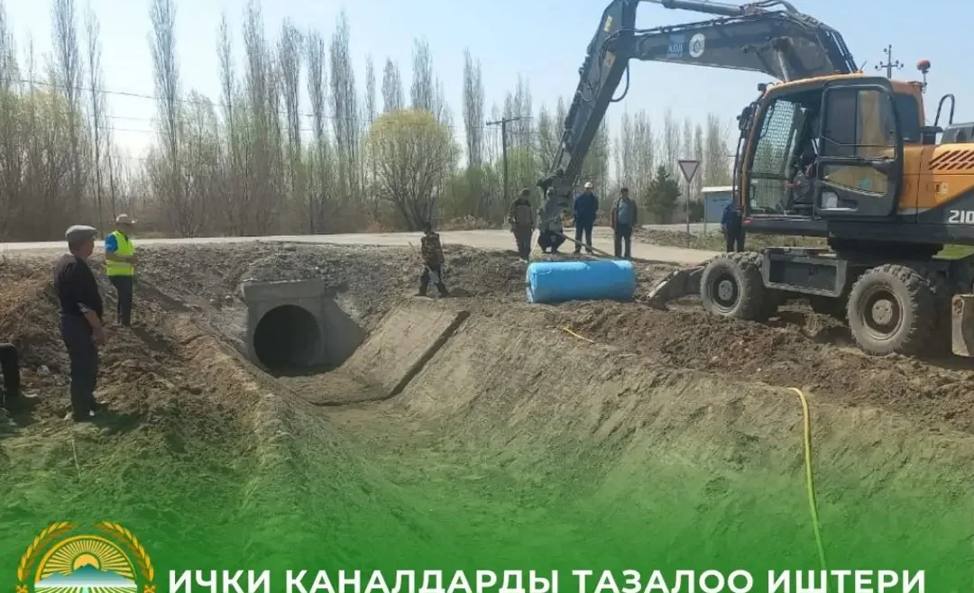 WhatsApp Image 2026-03-30 at 11.45.34.jpeg