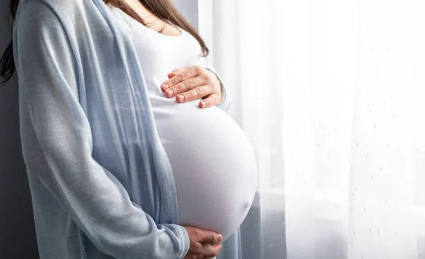 WhatsApp Image 2026-03-25 at 16.13.15.jpeg