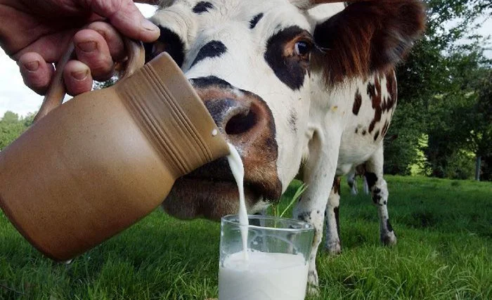 WhatsApp Image 2026-04-13 at 13.21.38.jpeg