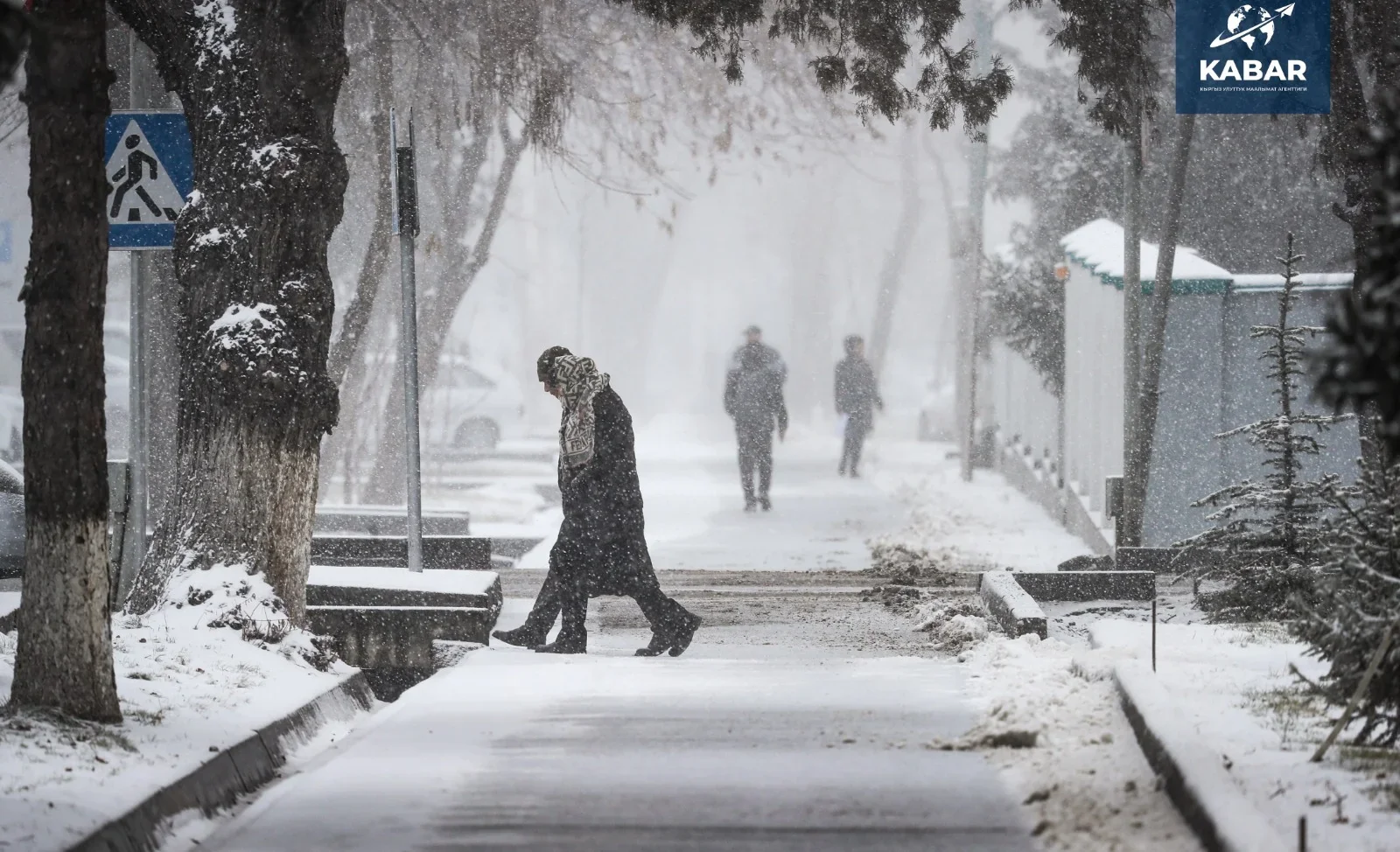 WhatsApp_Image_2026_LU94pEB.2e16d0ba.format-webp.fill-1668x1014 (1).webp