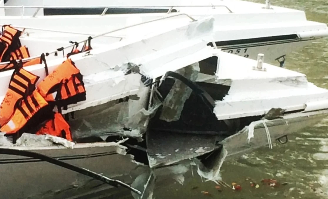 WhatsApp Image 2026-01-11 at 16.54.21.jpeg