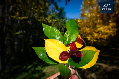 WhatsApp_Image_DvoFZHP.max-2560x1440.format-webp.jpegquality-90.webp