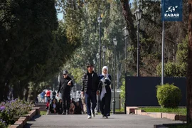 WhatsApp_Image_IQhGXDp.max-2560x1440.format-webp.jpegquality-90.webp