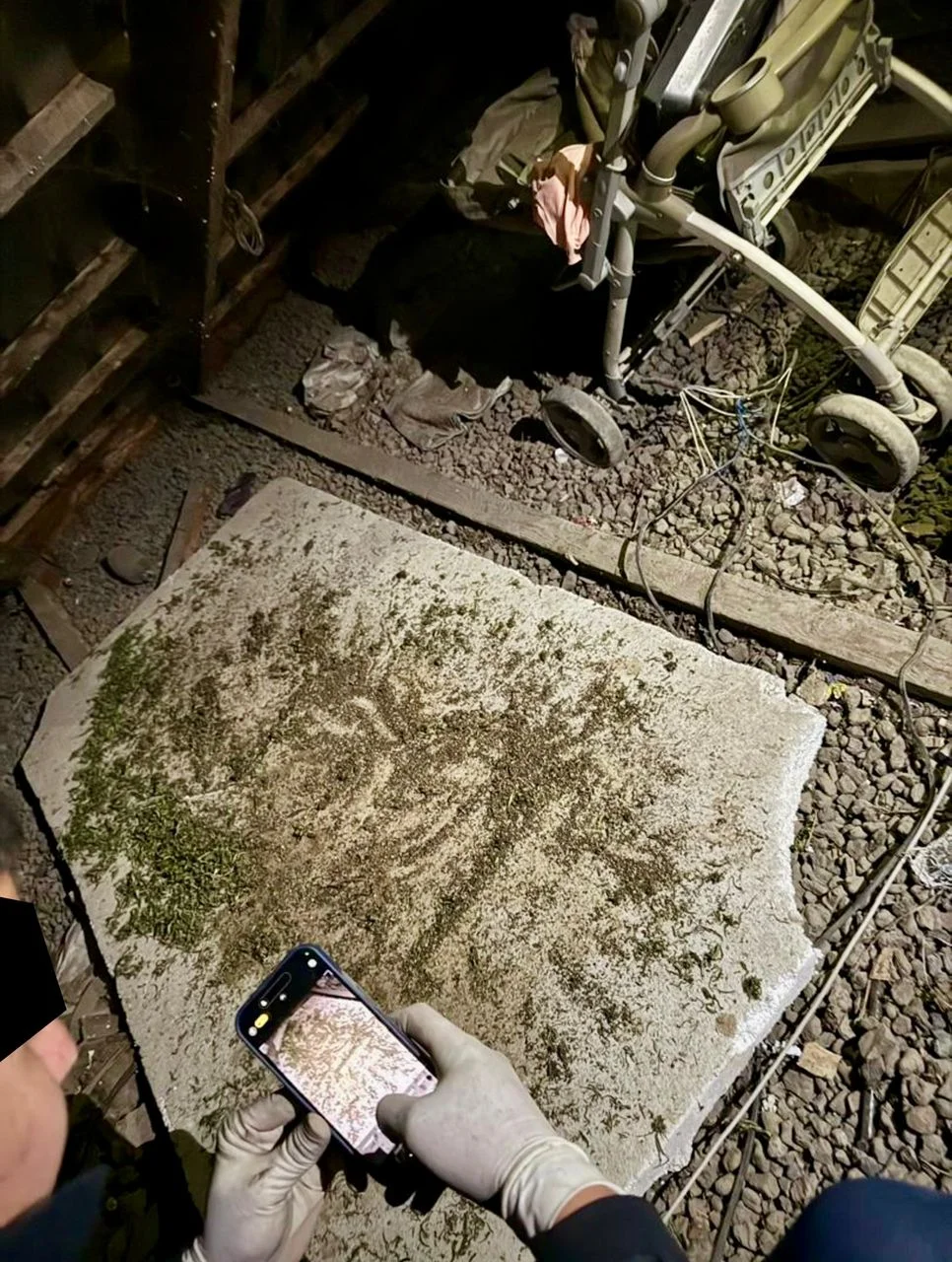{{ item.title }}