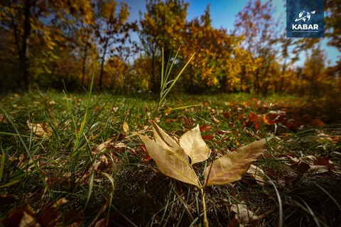WhatsApp_Image_QWzIS5g.max-2560x1440.format-webp.jpegquality-90.webp