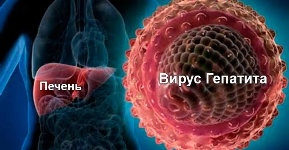 {{ item.title }}