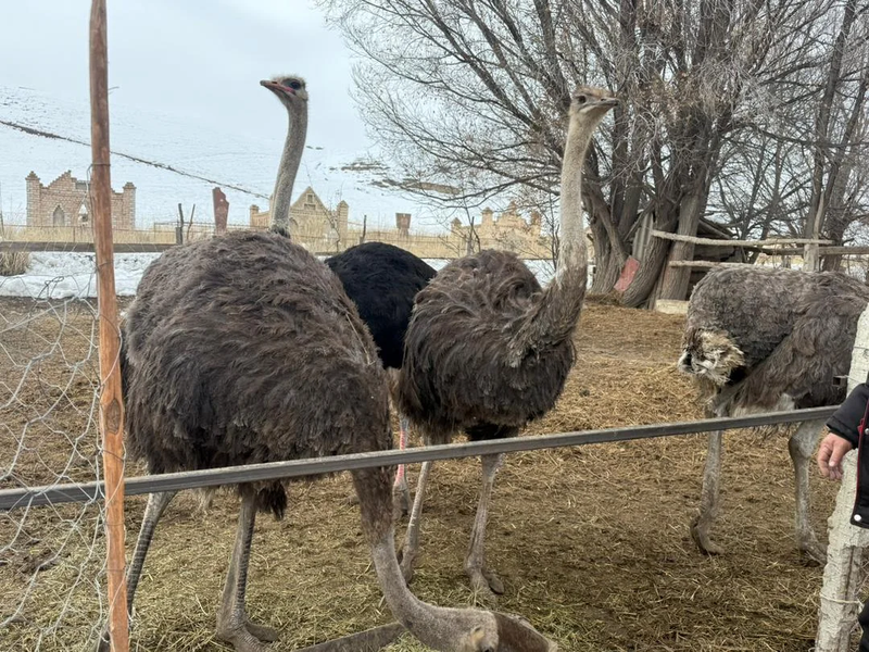 WhatsApp_Image_fspPXjt.max-2560x1440.format-webp.jpegquality-90