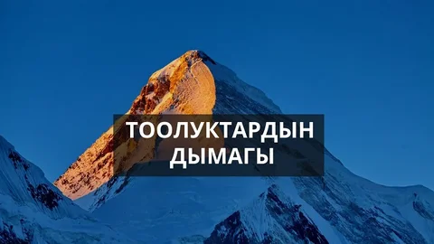 WhatsApp_Image_uttUDJU.max-2560x1440.format-webp.jpegquality-90.webp