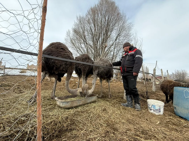 WhatsApp_Image_xEHF4XY.max-2560x1440.format-webp.jpegquality-90