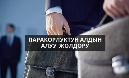 WhatsApp_Image_xjuWUcJ.max-2560x1440.format-webp.jpegquality-90.webp