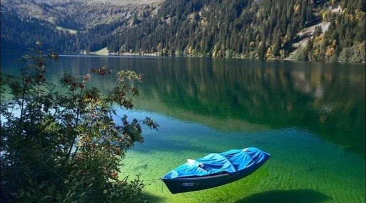a114b15bb03eab.max-2560x1440.format-webp.jpegquality-90.webp