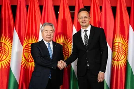 a4849dbd-5dbd-362c-87ff-feadb3f8b654.jpg