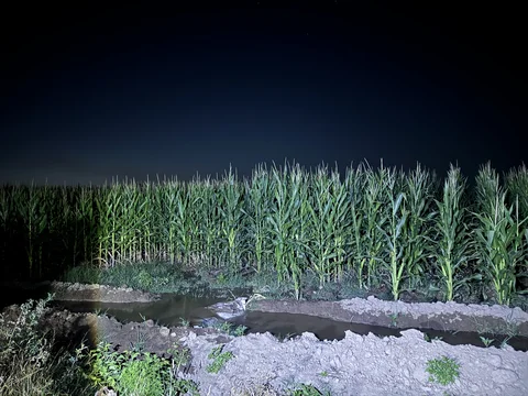 a4c9b658-c08c-40ad-90ab-4c55c1e7e69d.jpeg