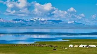a6ab924cd7bf4f.max-2560x1440..max-1920x1080.format-webp.webp