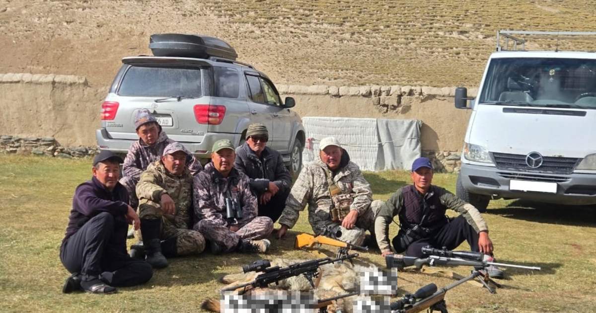 В Нарынской области отстрелили хищников из-за угрозы домашнему скоту