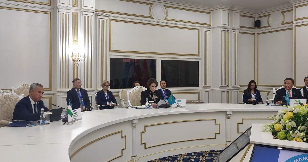 Альназарова: Страны ОТГ сталкиваются со схожими вызовами в сфере здравоохранения