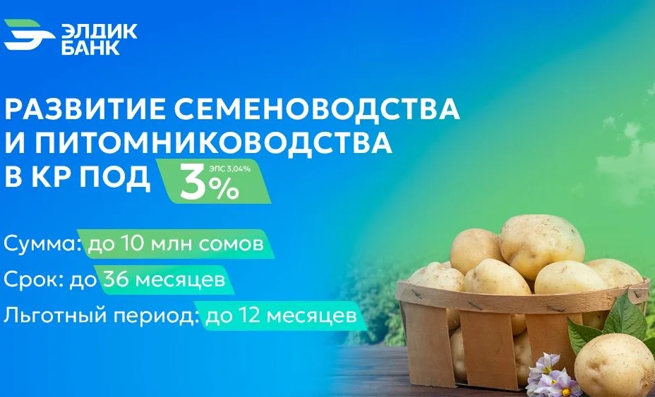 ad4ec657-5574-4d13-8179-81047c65e893.jpeg