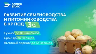 ad4ec657-5574-4d13-8179-81047c65e893.jpeg