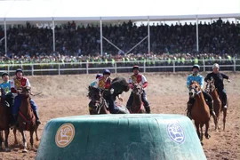 ad5328af-13a0-4a5e-871b-e7d0ff440272.jpeg