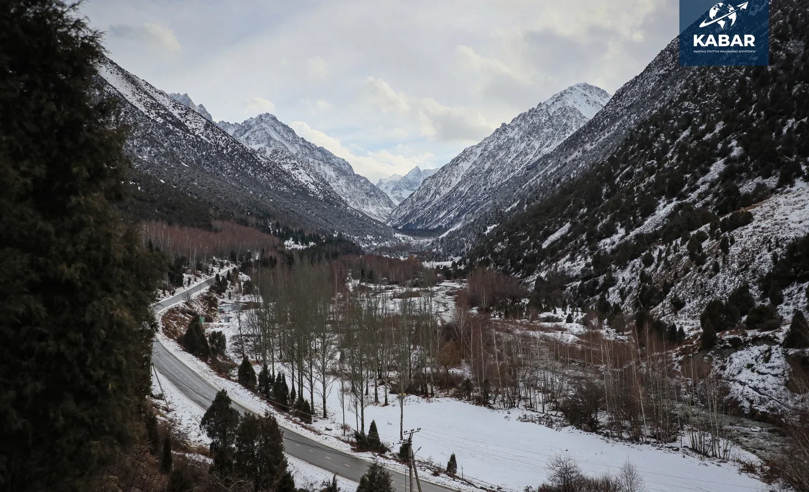 ала арча.webp