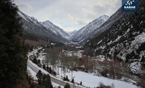 ала арча.webp