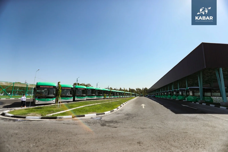 avtobus_10.width-800