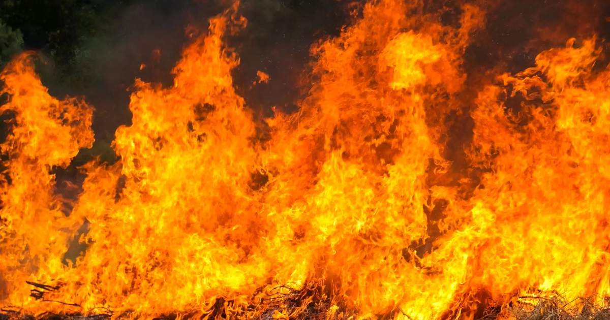 В Бишкеке ночью загорелась территория мусорного полигона