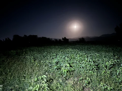 ba24ab87-8c83-4dab-b6ae-ec37ebc0bf6f.jpeg