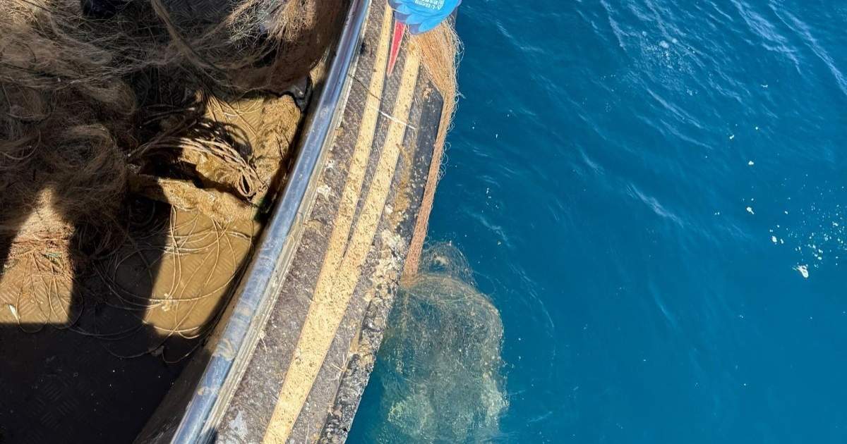 В Кыргызстане с начала года из водоемов извлекли более 160 км рыболовных сетей
