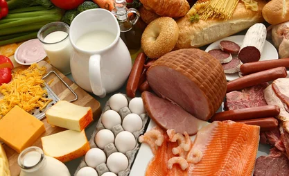 carne-huevos-y-leche-nutrientes-esenciales-en-una-dieta-saludable-segu-n-la-fao-1.jpeg