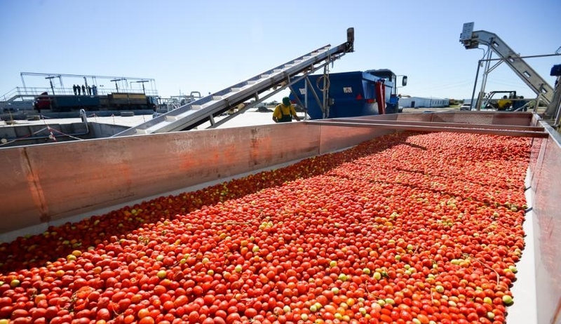 cf10b2b8ca679d5ef79776490c2a18f3