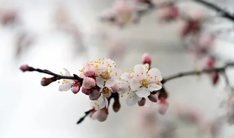 cf1b8626-3ede-46d4-a1e5-860f2.max-1920x1080.format-webp.webp