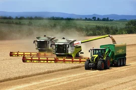 claas-vypustil-yubilyeinyi-zernouborochnyi-kombain-lexion-780-984x656-27089.jpg