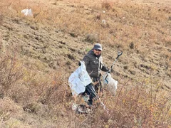 d0a88b50-4b96-4308-9c3b-bd006727963c.jpeg