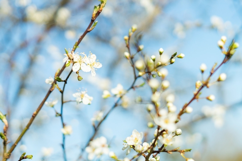 d0bfd0b5d180d188d0b8d0b9-d0b4d0b5d0bdd18c-d0b2.width-800