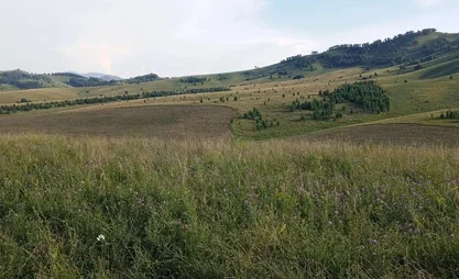 d19305542aa34c19ae67d6d224019645.jpg
