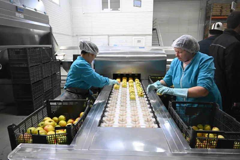 d337198a-4ad8-4926-b63c-72406c834446