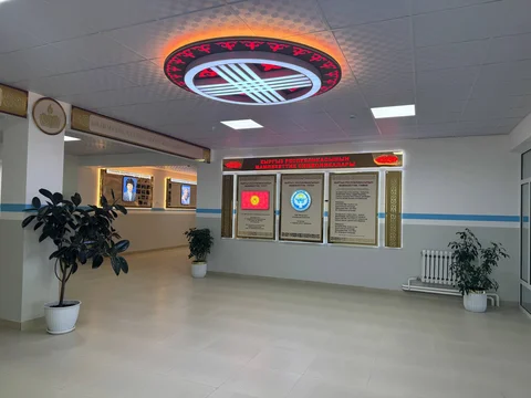 d46728e7-461b-4508-88b0-fe0e13e886c2.jpg
