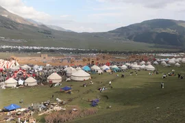 d853b735-63cc-4737-9755-2707fbaf06b0.jpeg