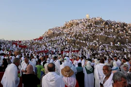 dbMrAN3wsUPPSp7A69Tps9-Fod2BEjM9.jpg