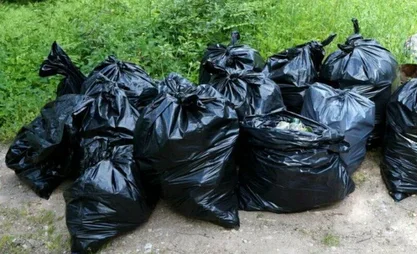 Депутаты приняли законопроект об усилении ответственности за выброс мусора