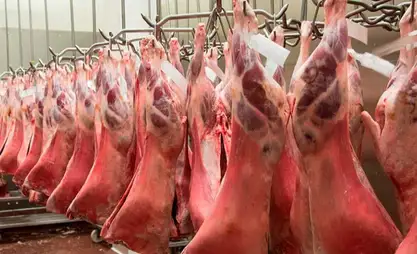 Рынок мяса. Почему в КР пока сложно обойти дистрибьюторов и есть ли решение? – ответ специалистов