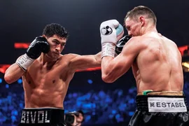 dmitrij-bivol-mihael-ajfert-obzor-boya_17801713921390720173.jpg