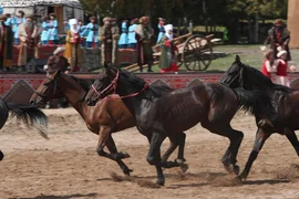 ead2eb38-bbfd-4272-aba3-e81abd347642.jpg
