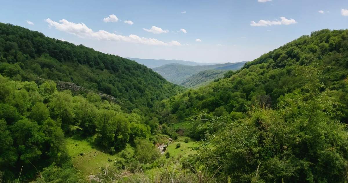 Площадь лесов в Кыргызстане увеличилась на 506 тыс. гектаров с 1993 года
