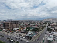 edeadbdf-4825-4b27-9130-c178bba0d873.jpg