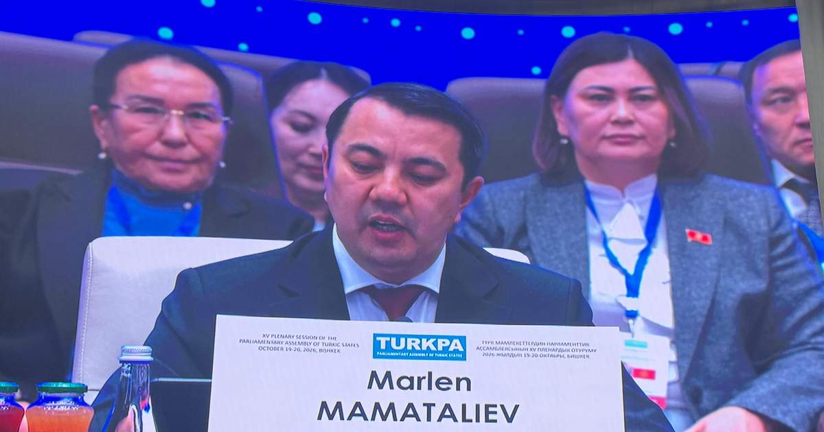 Маматалиев предложил создать единый электронный реестр модельных законов ТюркПА