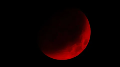 ef4543c7-4e4.webp