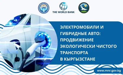 эко.jpg