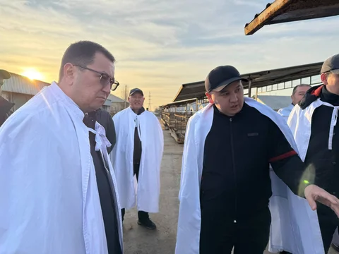эрлист 2.jpg